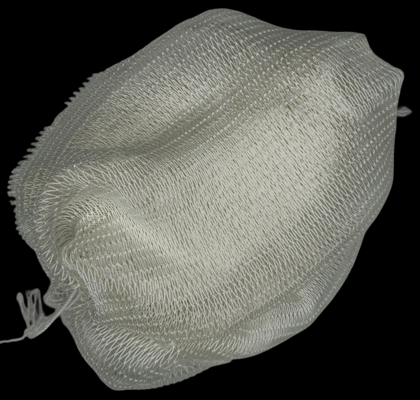 African Net Sponge